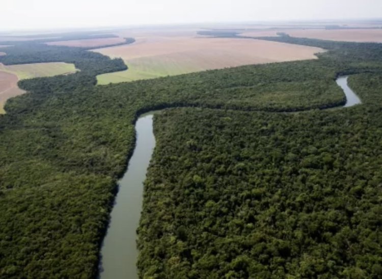Novo trem na Amazônia ignora 4 ferrovias e pode devastar um estado do Rio