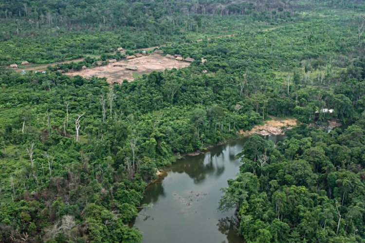 Terras IndÃgenas tiveram menos de 1% de sua área de vegetação nativa desmatada em 38 anos