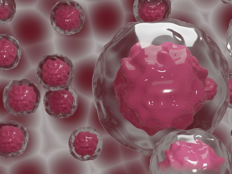 Cientistas anunciam criação de embrião humano com base em células-tronco, sem espermatozoide nem óvulo