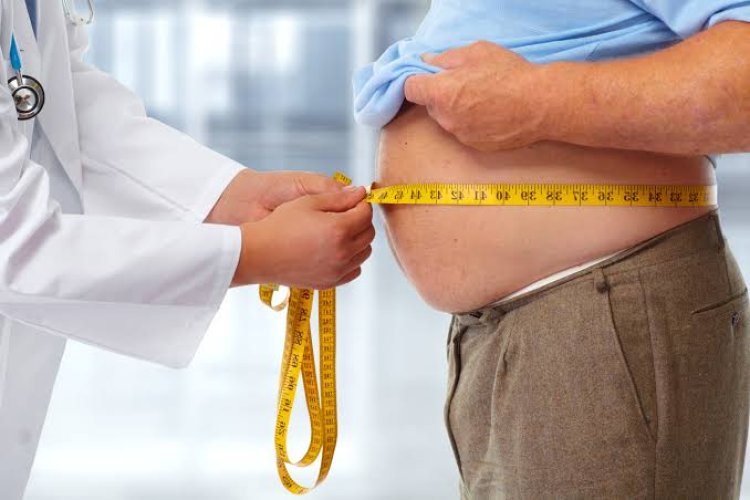 Obesidade: medicamento promete reverter condição mesmo com dieta rica em gordura; entenda
